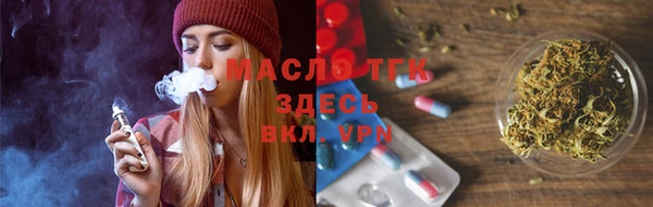 гашик Осинники