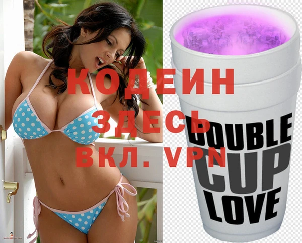 гашик Осинники