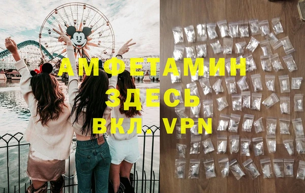 гашик Осинники