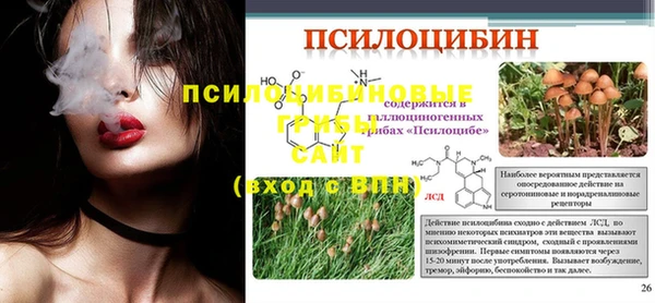 гашик Остров
