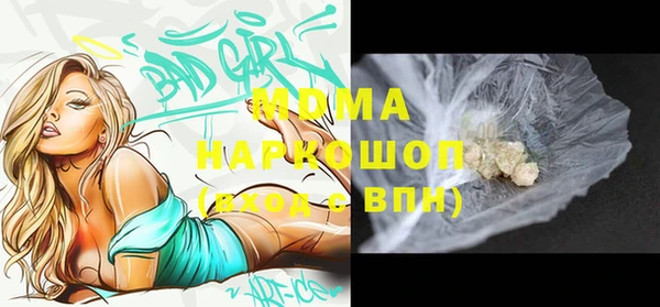 гашик Осинники