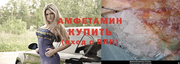 гашик Осинники