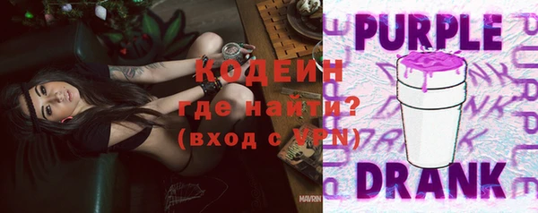 гашик Осинники