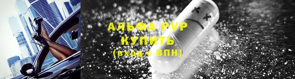 гашик Осинники
